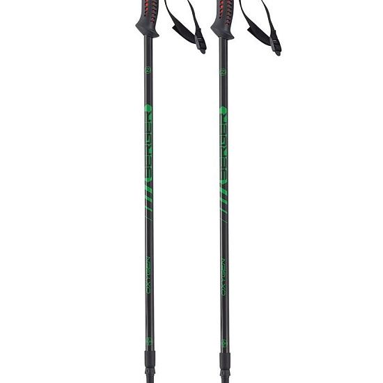 Палки для скандинавской ходьбы Oxygen, черные с зеленым - подробное фото