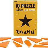 Головоломка IQ Puzzle, звезда - фото